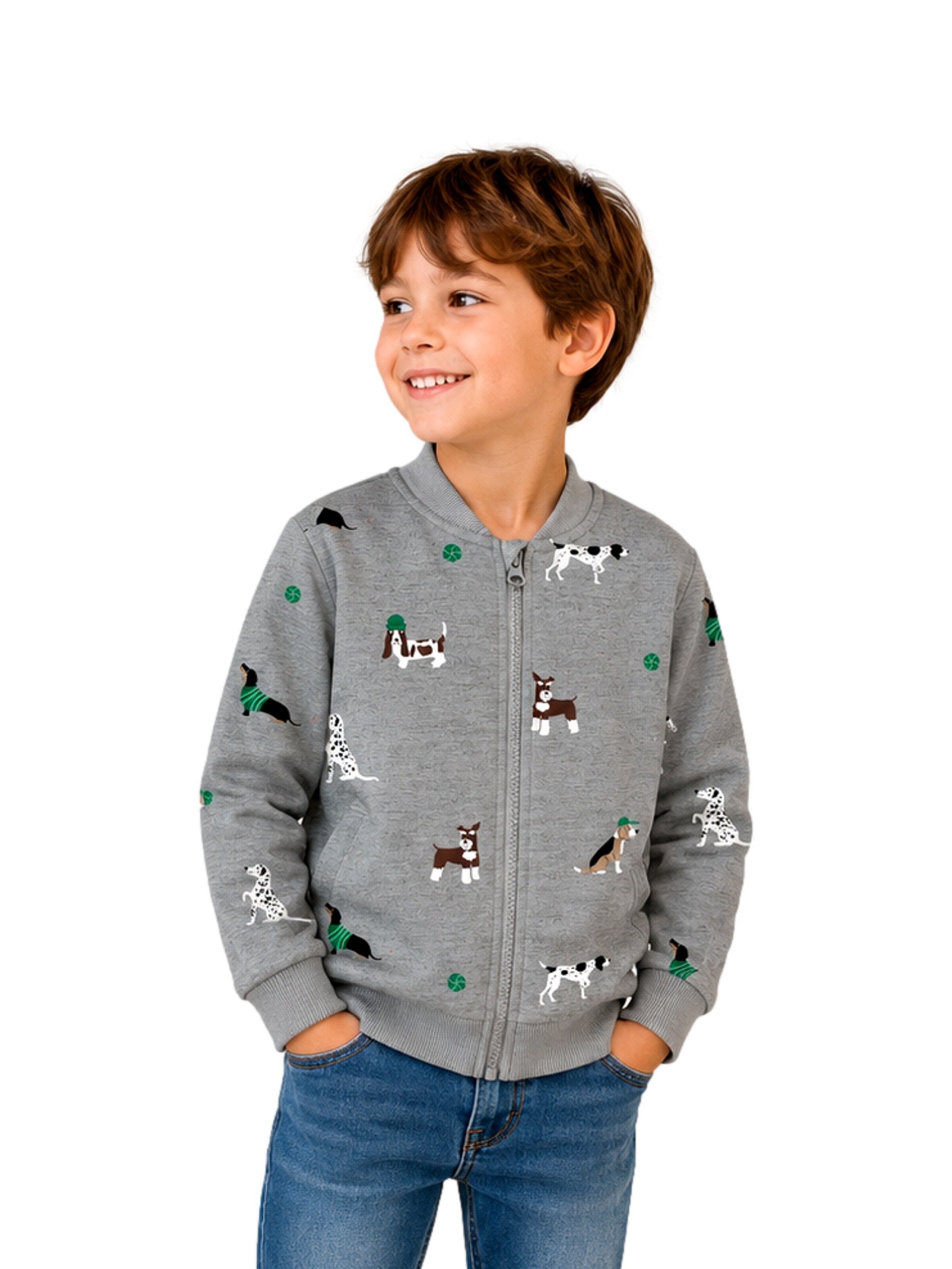 NAME IT Sweatjacke 'Naris' in Grau: Vorderseite