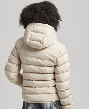 Superdry Winterjas in Beige