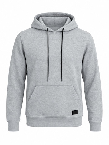 Sweat-shirt 'Sweatshirts' Grimelange en gris : devant