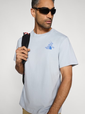 THE NORTH FACE - Camiseta 'MOUNTAIN CELEBRATION' en gris