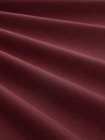 TOM TAILOR Sweatshirt in Rot