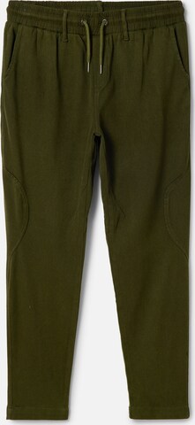 Desigual Regular Pants in Green: front