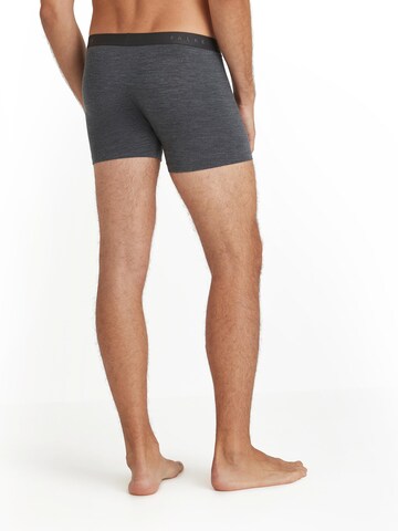 FALKE Boxer shorts in Grey