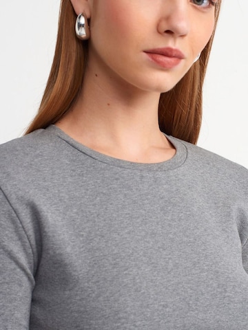 Dilvin Shirt in Grijs