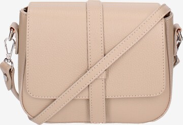 Roberta Rossi Crossbody Bag in Grey: front