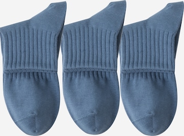 Millo Socks 'Everyday Teens' in Blue: front