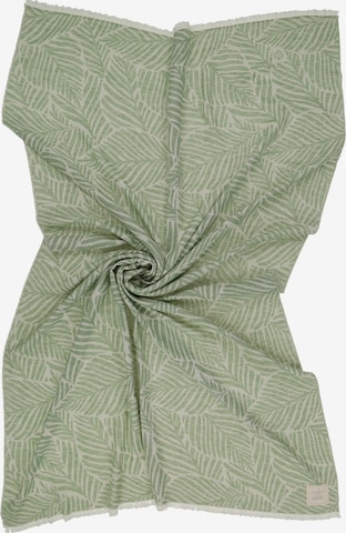 FRAAS Blankets in Green: front