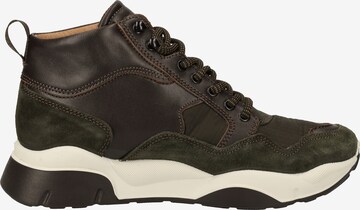 IGI&CO Sneakers in Brown