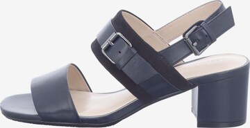 GERRY WEBER SHOES Strap Sandals ' Faro 14' in Blue