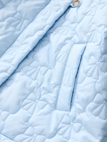 Next Winterjas in Blauw