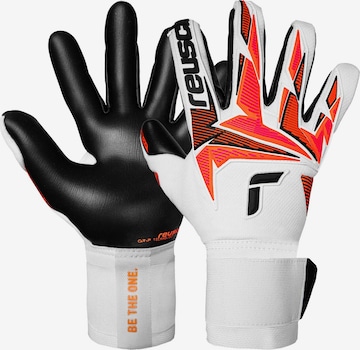 REUSCH Torwarthandschuhe 'Attrakt Freegel Gold X' in Weiß: Vorderseite