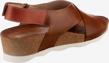 PIKOLINOS Sandals in Brown