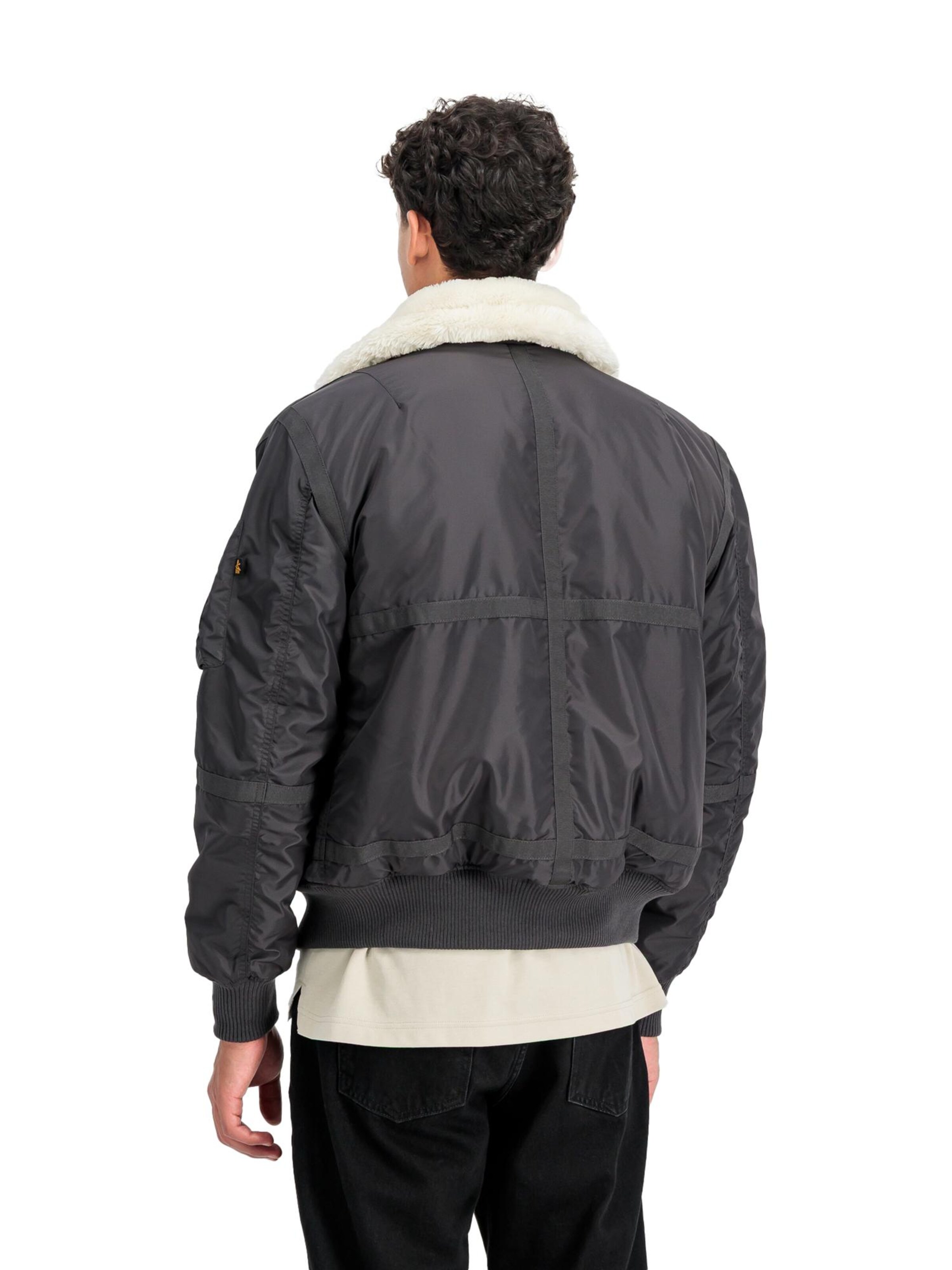 ALPHA INDUSTRIES Winter Jacket 'B15-3 TT' in Grey