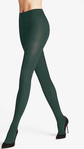 FALKE Tights 'Family' in Green: front