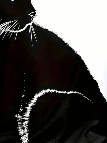 JANE's Bluse‌‌‌ in Schwarz
