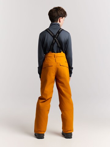 PROTEST Regular Sports trousers 'Spikety JR' in Brown
