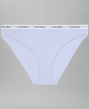 Calvin Klein Underwear Slip in Blauw