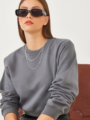 Bianco Lucci Sweatshirt in Grau