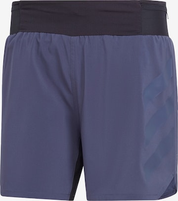 ADIDAS TERREX Regular Workout Pants 'Agravic' in Blue: front