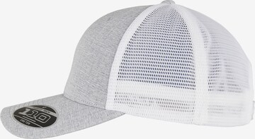 Flexfit Cap in Grau