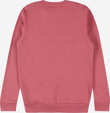 ADIDAS ORIGINALS Sweatshirt 'Adicolor' in Pink