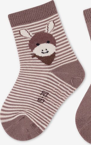 STERNTALER Socken 'Emmi' (GOTS) in Braun