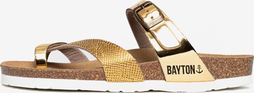 Bayton Mule 'Diane' in Gold: front