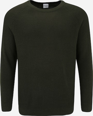 Jack & Jones Plus Πουλόβερ 'PANNEL' σε πράσινο: μπροστά