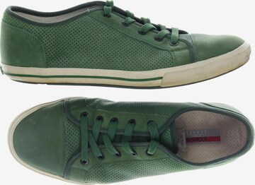 LLOYD Sneaker 48,5 in Grün: predná strana