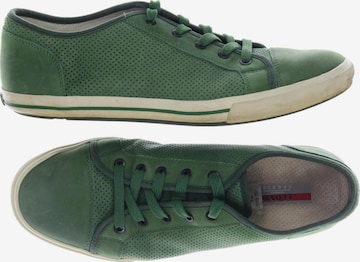LLOYD Sneakers & Trainers in 48,5 in Green: front