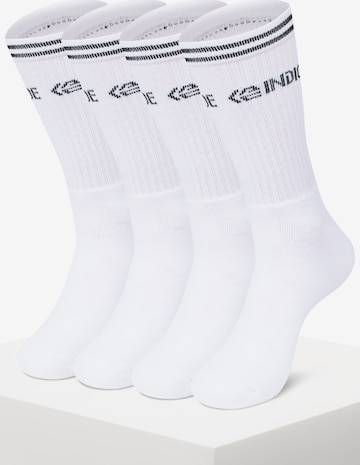 INDICODE JEANS Sokken 'INFaltman' in Wit: voorkant