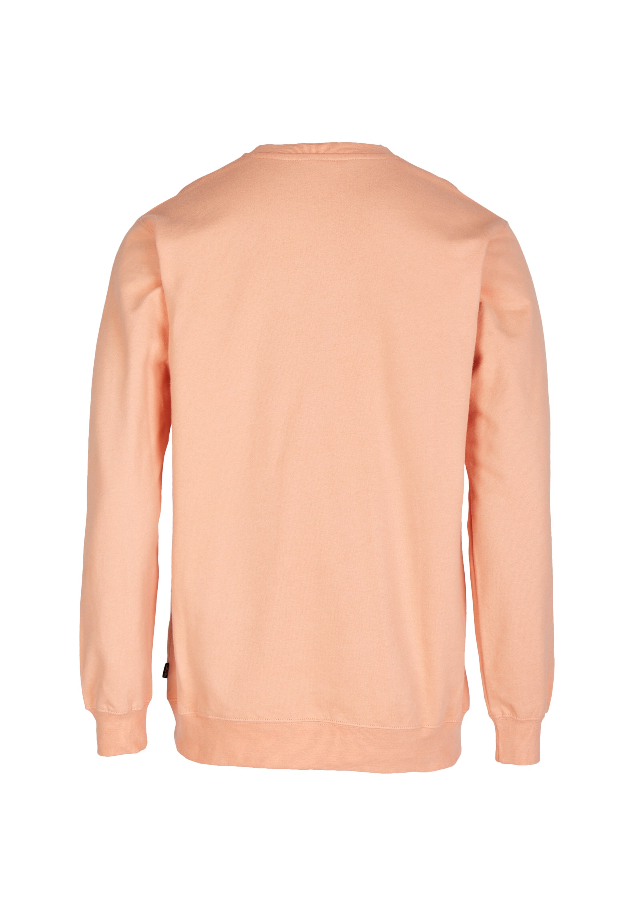 Cleptomanicx Sweatshirt 'Ligull' in Orange