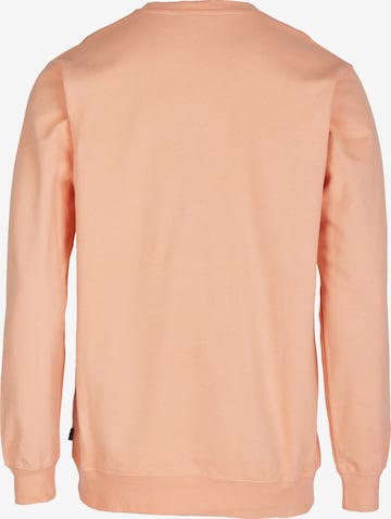 Cleptomanicx Sweatshirt 'Ligull' in Orange