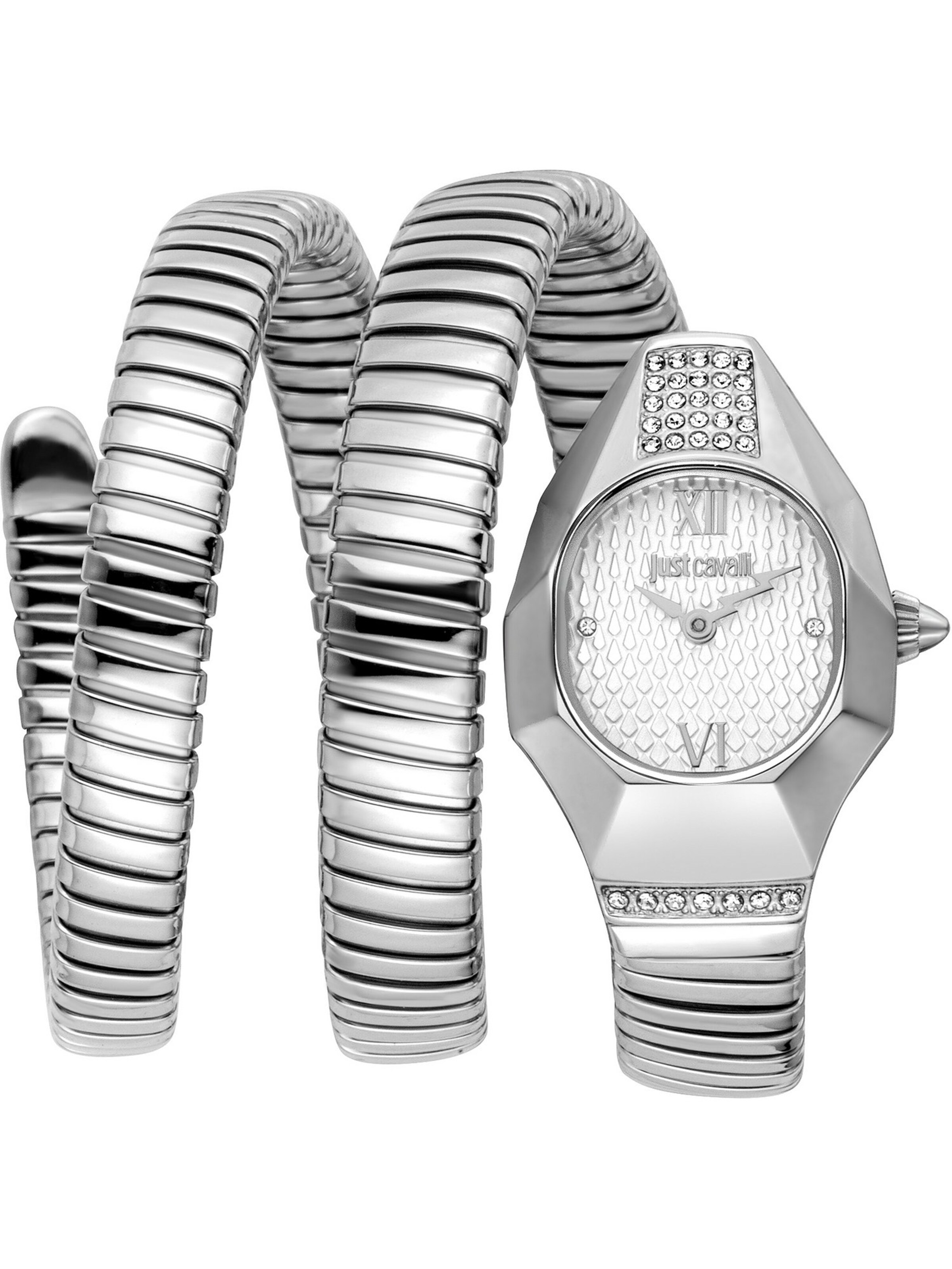 Just Cavalli Time Analoguhr in Silber: Vorderseite