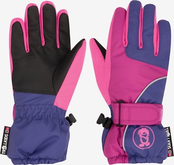 TROLLKIDS Gloves in Purple: front