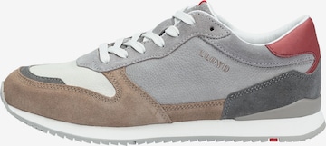 Baskets basses 'ELMORE' LLOYD en gris : devant