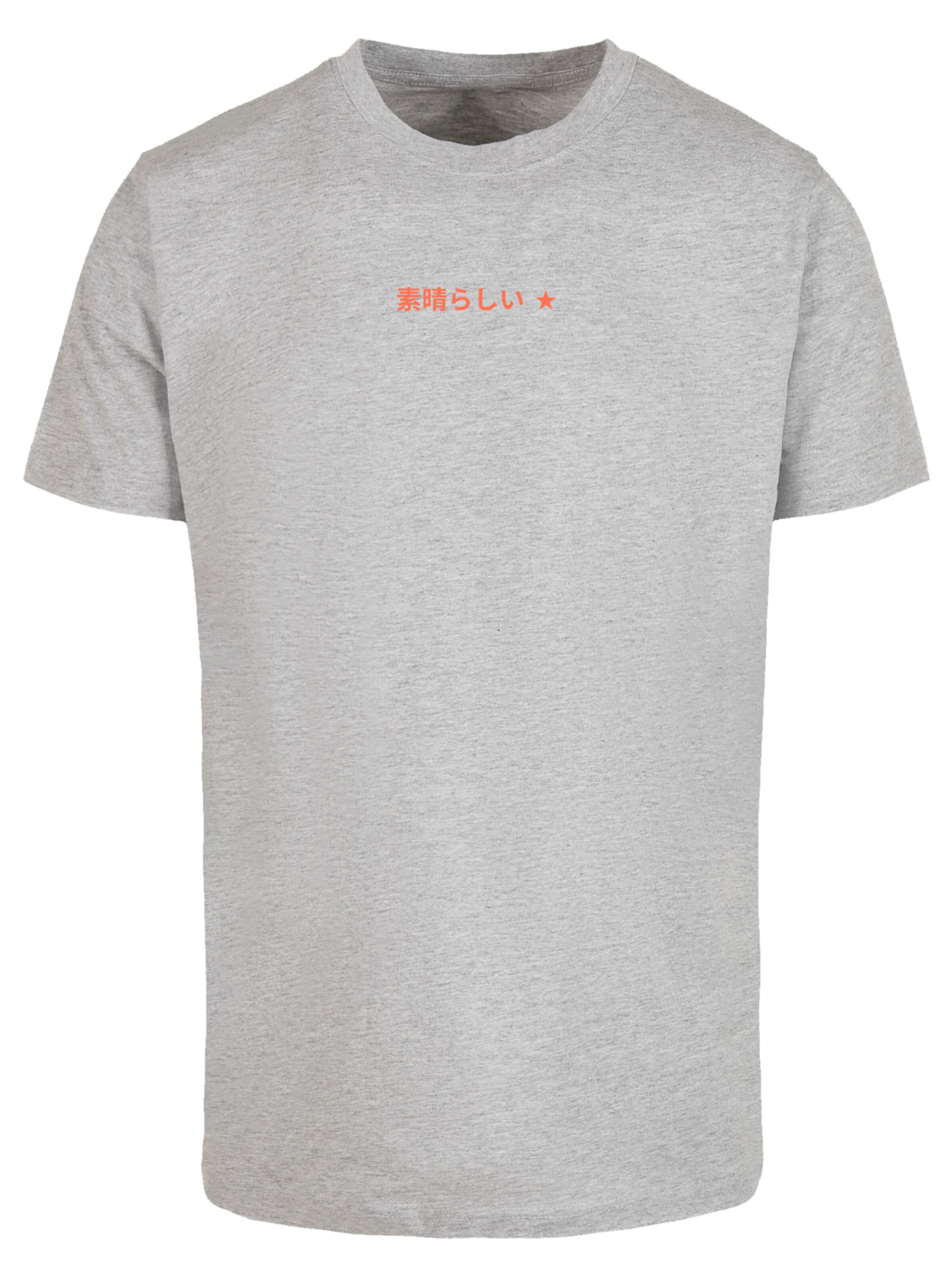 T-Shirt F4NT4STIC en gris : devant