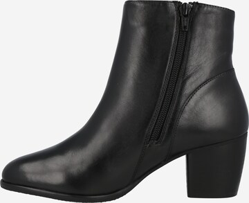 SPM Ankle Boots 'DALTER' in Black