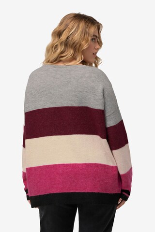 Ulla Popken Pullover in Mischfarben