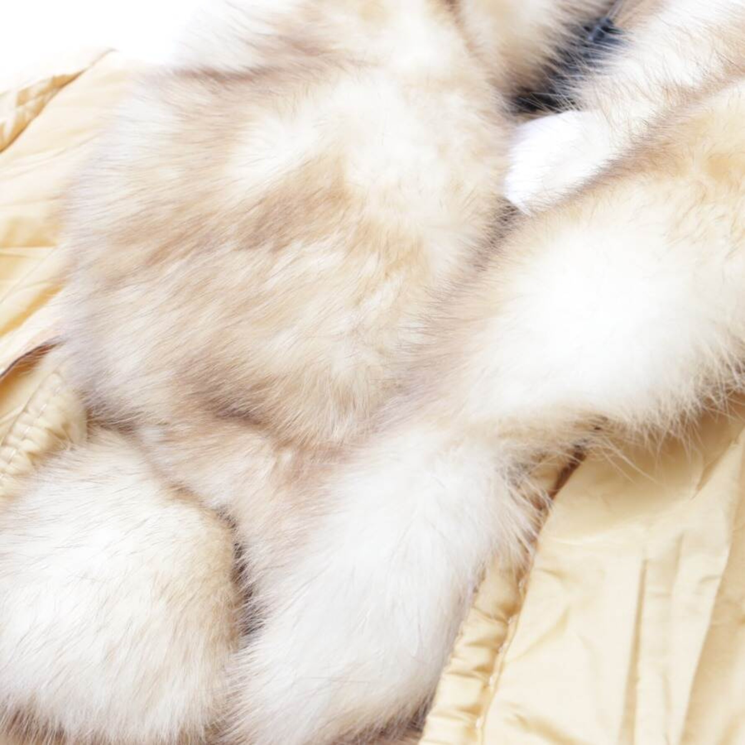 Ermanno Scervino Jacket & Coat in S in Brown