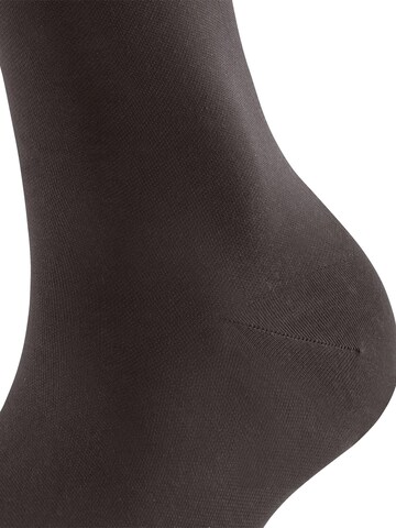 FALKE Overknee Strümpfe 'Vitalizer'‌‌‌‌‌‌‌‌ in Braun