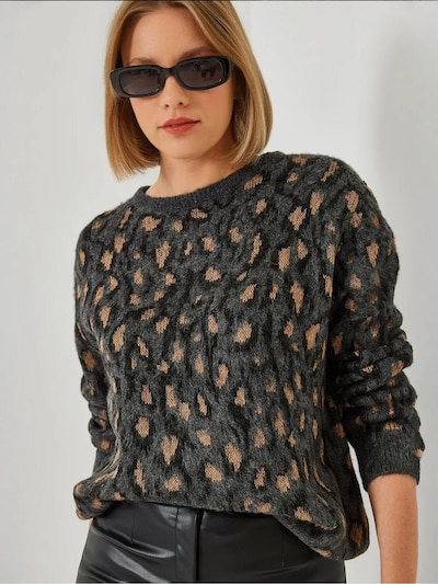 Bianco Lucci Pull-over 'Pullover' en S-M en gris foncé, Vue avec produit