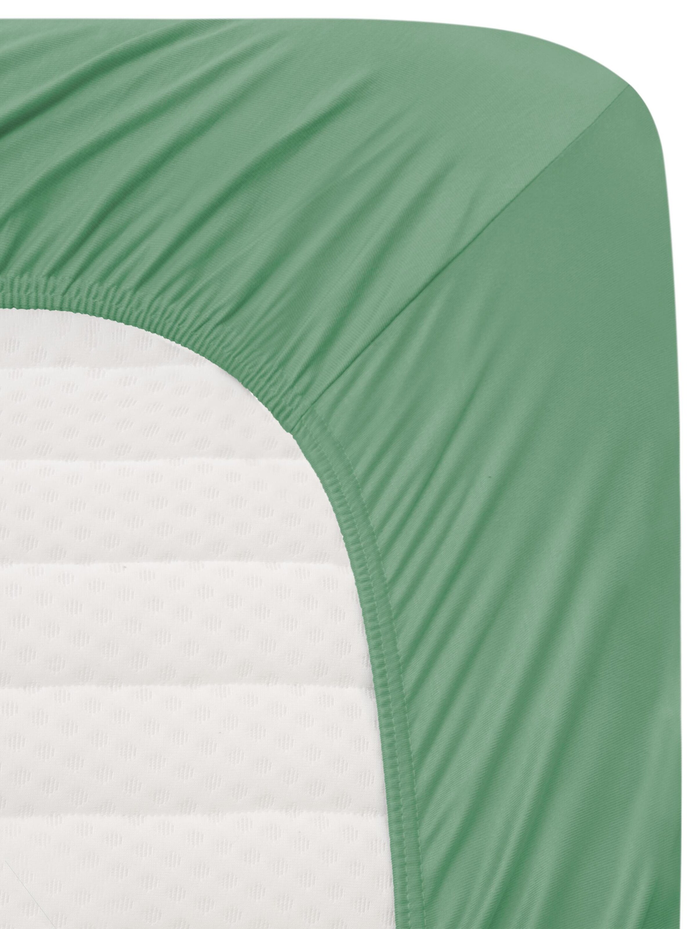Aspero Bed sheet 'Natal' in Green