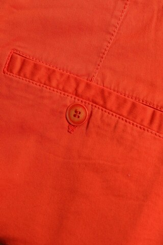 DAVID NAMAN Shorts 31-32 in Orange