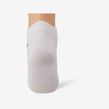 Lacoste Sport Športové ponožky - biela