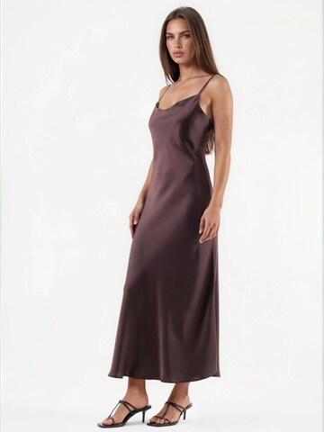 Hiccup Dress in Brown
