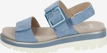 ARA Sandals in Blue