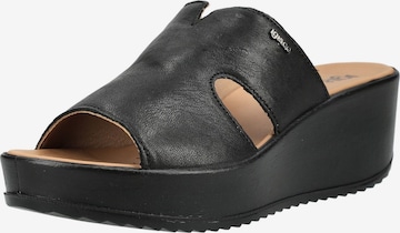 IGI&CO Muiltjes in Zwart: voorkant