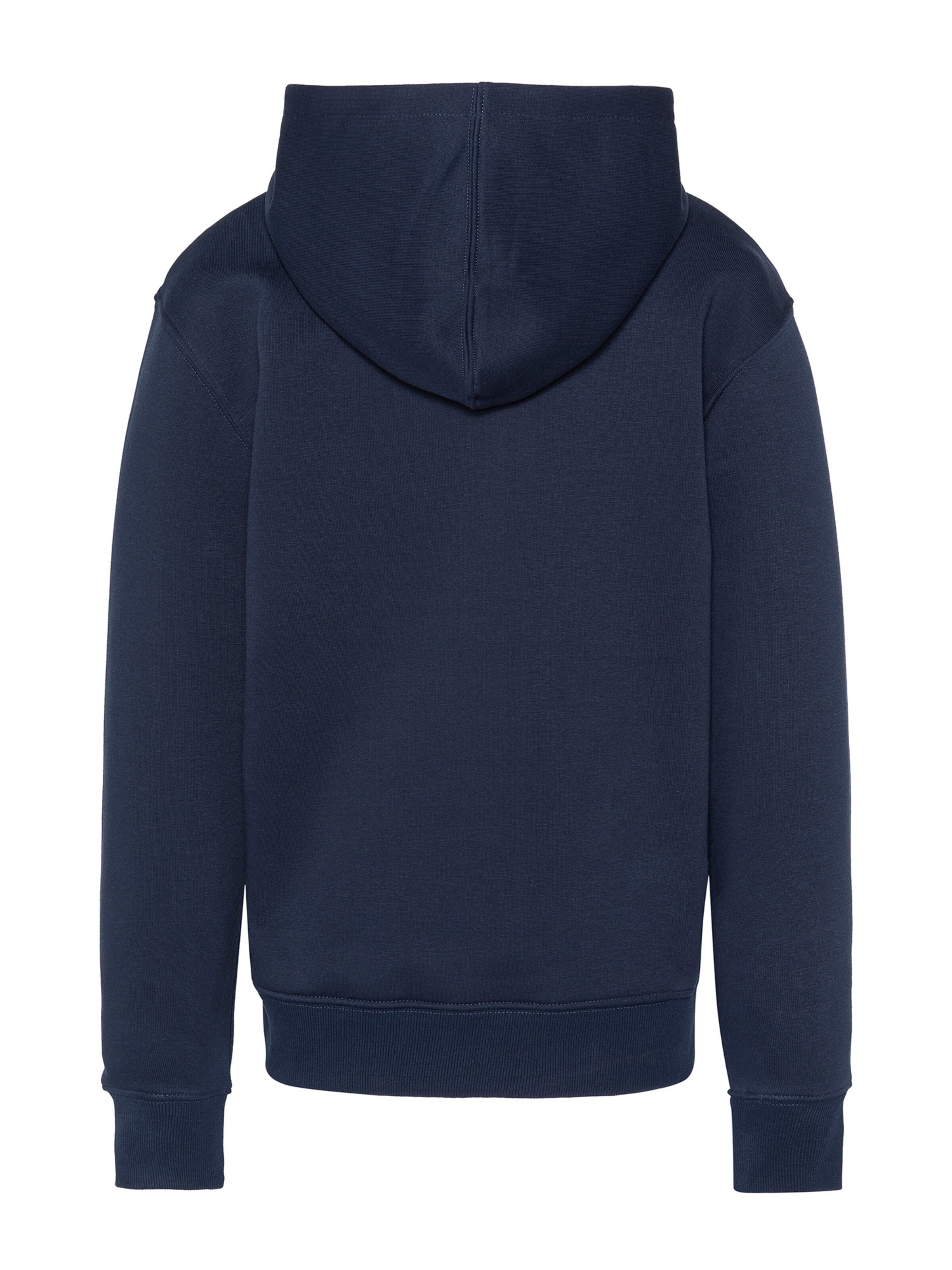 Schott NYC Sweatshirt in Blue