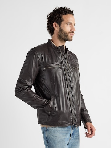 JCC Tussenjas in Bruin